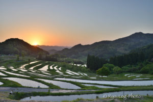 大山千枚田の朝日