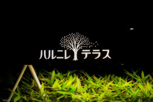 ハルニレテラスの夜景撮影