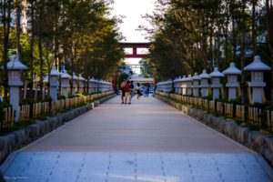 鎌倉　段葛　kamakura