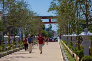 鎌倉　鶴岡八幡宮　段葛　若宮大路