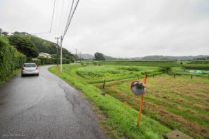 千葉県 富津 佐貫町 cafe グローブ　道