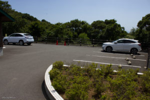 魚見塚展望台　駐車場