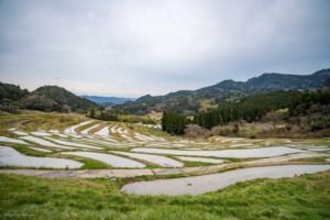 大山千枚田、田植え前の景色