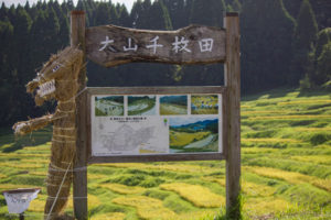 大山千枚田　カカシ　ゴジラ