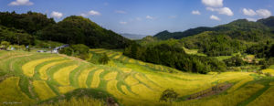 鴨川　絶景　大山千枚田