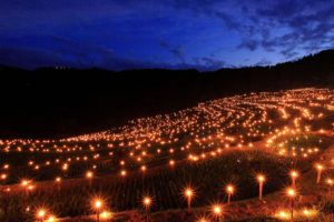 大山千枚田　ライトアップ