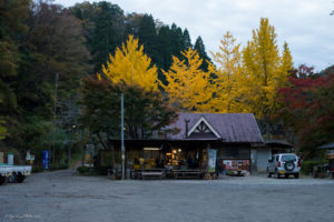 クオードの森　紅葉