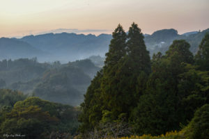 千葉　トトロ　大山千枚田