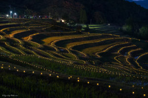 大山千枚田　ライトアップ