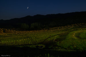 大山千枚田　星　ライトアップ