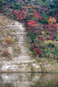 千葉　紅葉　亀山湖