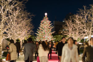 garden-place　クリスマスイルミネーション