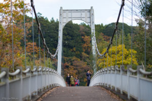 千葉　紅葉　亀山湖