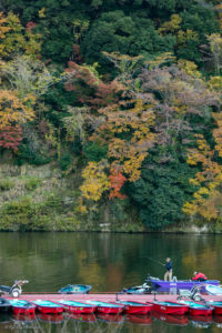 千葉　紅葉　亀山湖