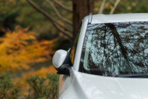 千葉 亀山湖 紅葉　105mm 1.4e