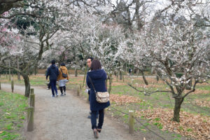 水戸　偕楽園　梅まつり