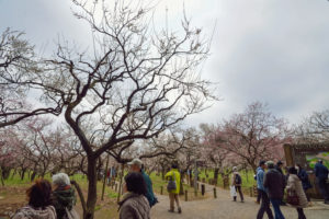 水戸　偕楽園　梅まつり