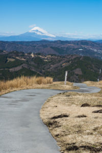 大室山　伊豆　観光　ポートレート