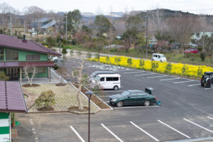 愛彩畑　菜の花　駐車場