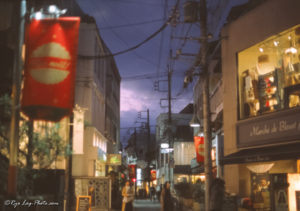 provia 100F nikonF リバーサルフィルム 作例 6