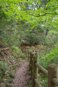 久留里城 春 観光 山道