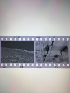 kentmere 100 コード 作例 判別