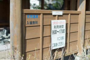 河津町 河津桜 足湯