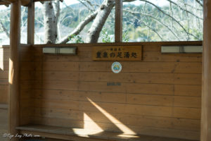 河津町 河津桜 足湯