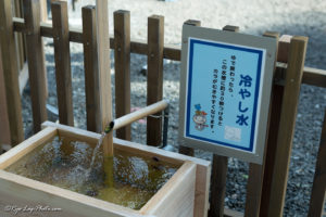 峰温泉大噴湯公園 卵 河津町 観光 伊豆