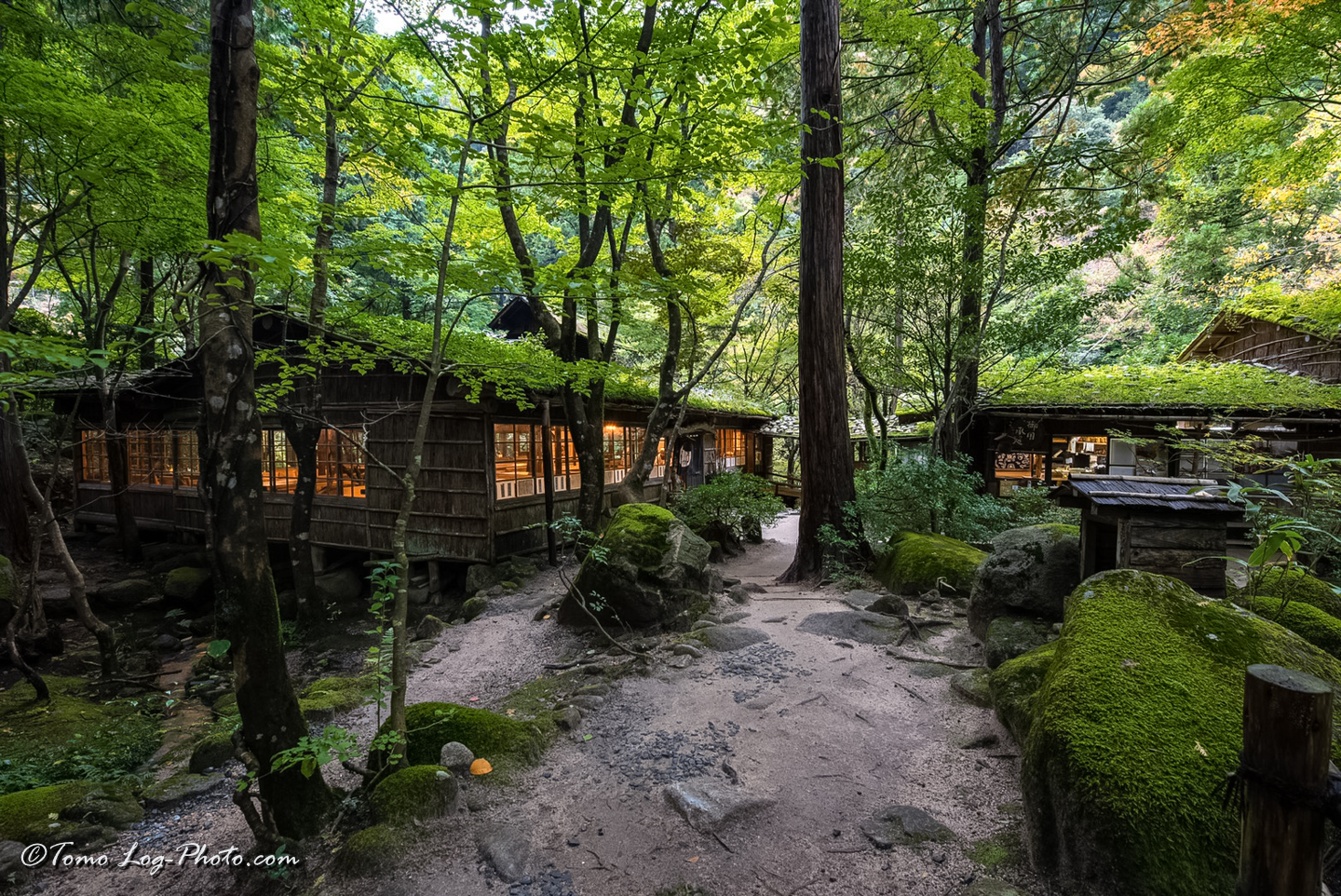 鳥取の山奥にあるオシャレ感漂う みたき園 素晴らしい外観にもご注目ください Log Photo