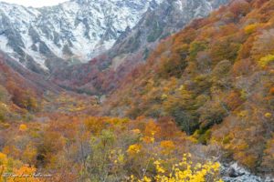 マチガ沢 一ノ倉沢 谷川岳 群馬 紅葉