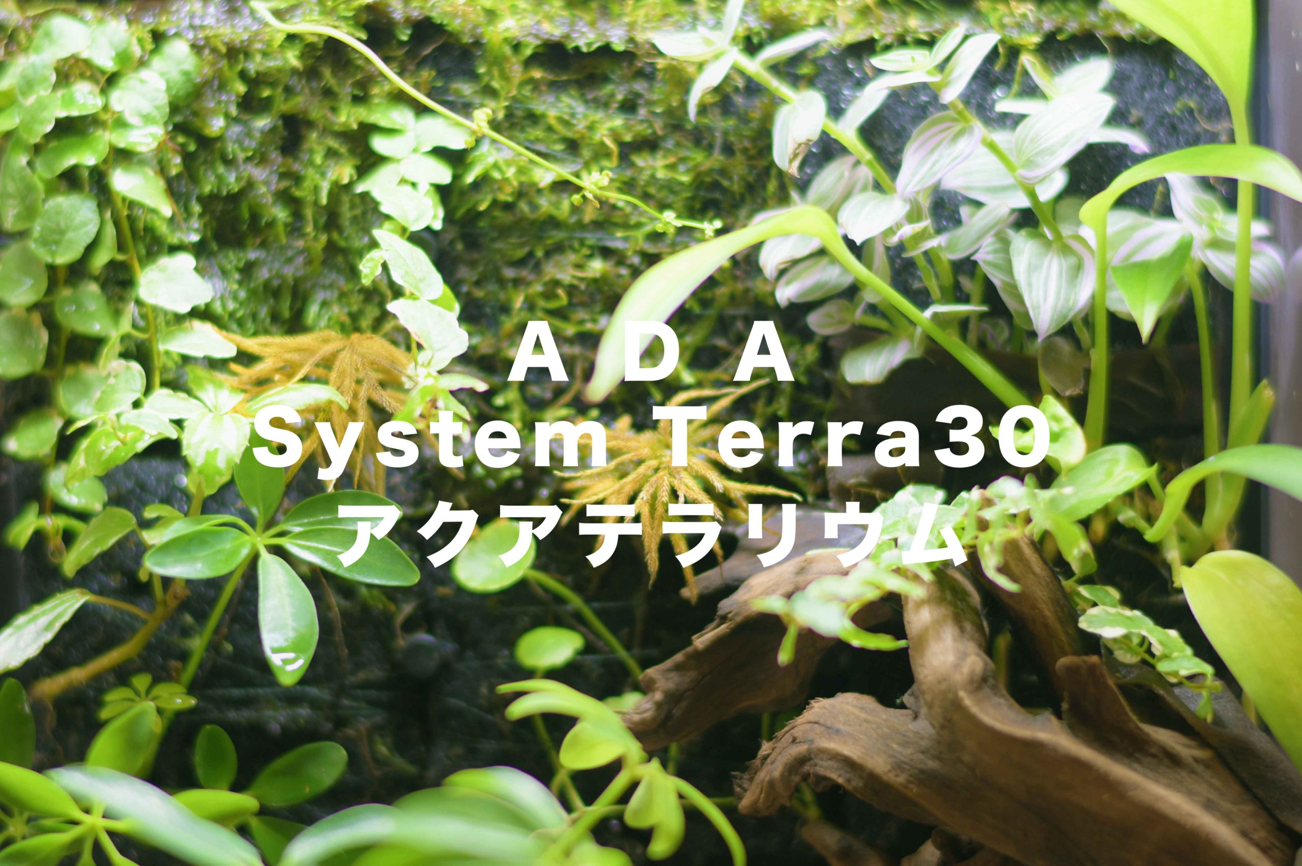 ada system terra30